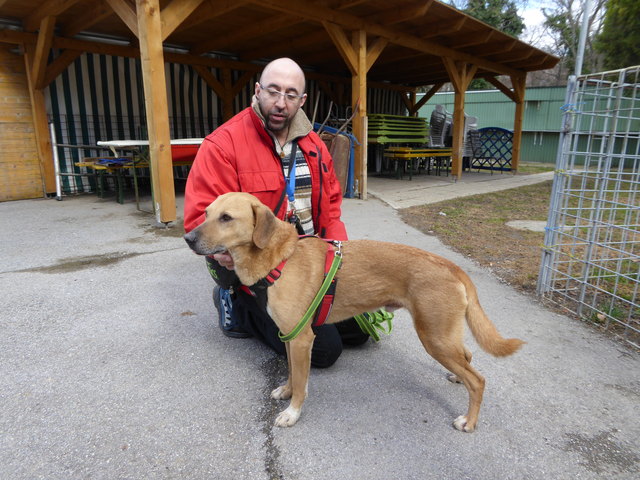 Hansi kann auch ganz brav.