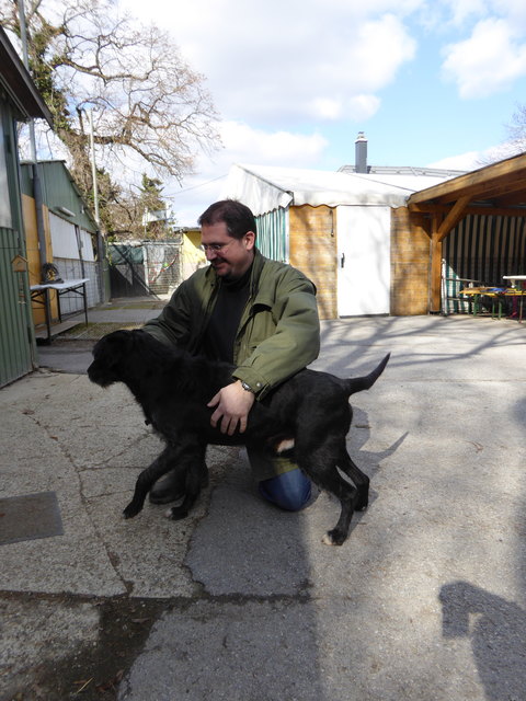 Napoleon freut sich.