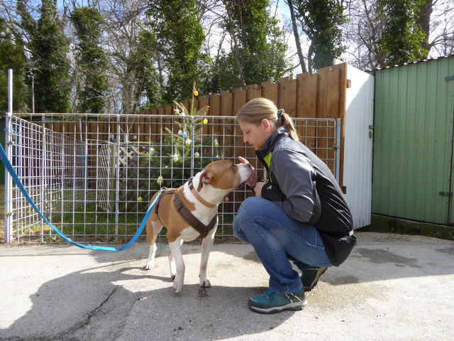 Gustav will Leckerlie.