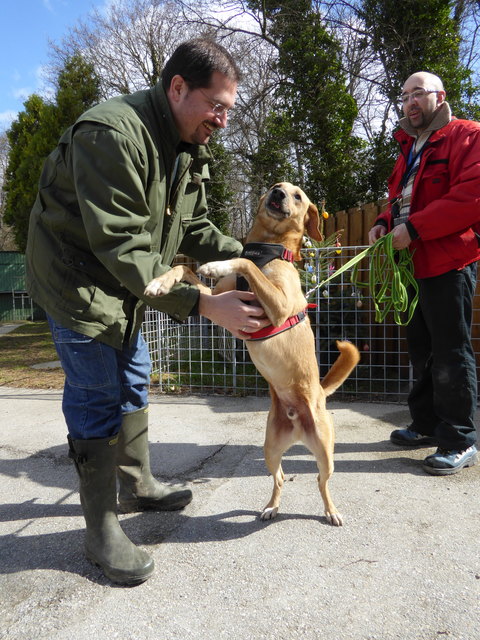 Hansi ist zu Späßchen aufgelegt.