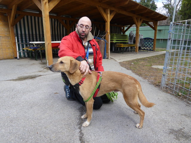 Hansi kann auch ganz brav.