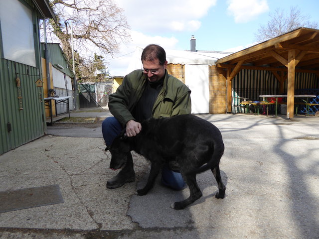 Napoleon freut sich.