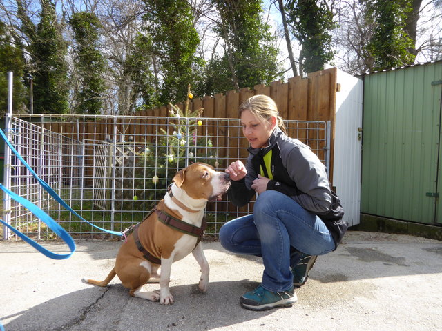 Gustav will Leckerlie.