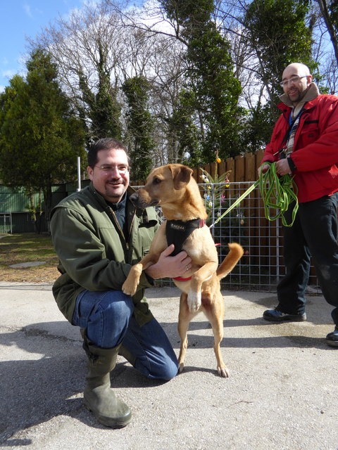 Hansi ist zu Späßchen aufgelegt.