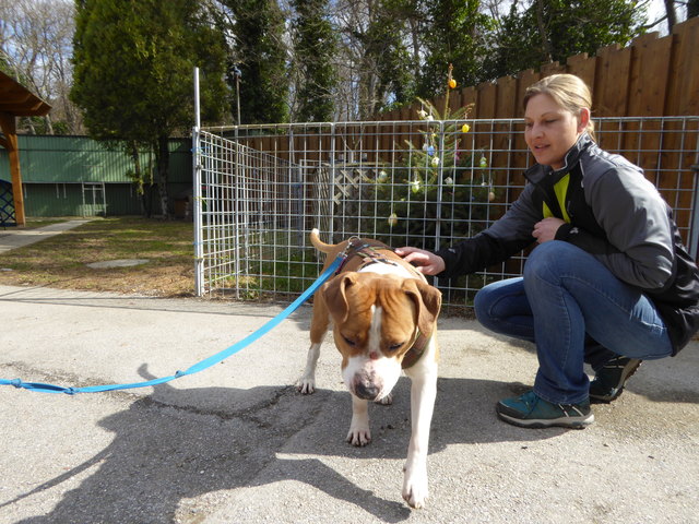 Gustav will Leckerlie.