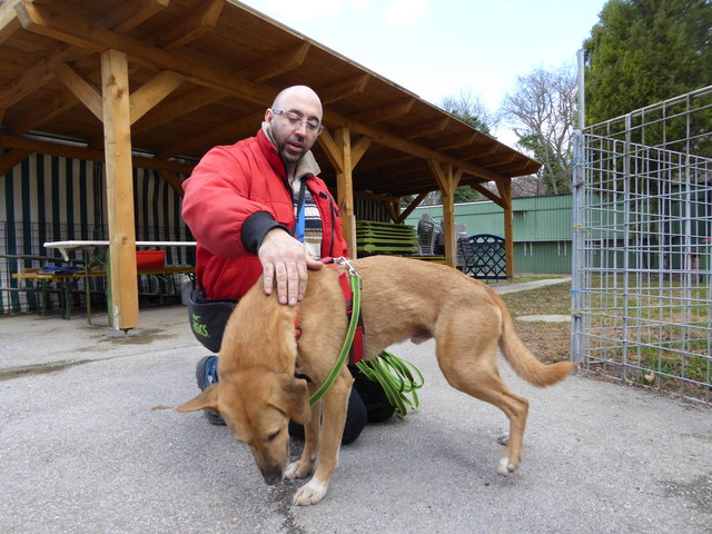 Hansi kann auch ganz brav.