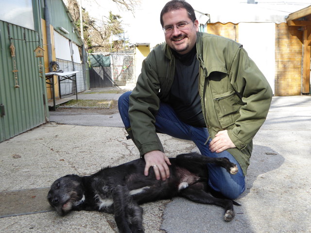 Napoleon freut sich.