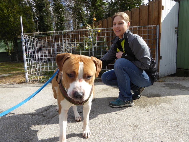 Gustav will Leckerlie.