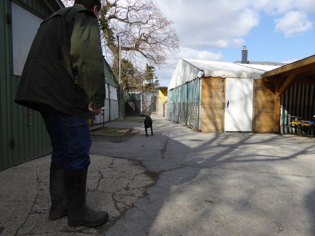 Wirbelwind Napoleon kommt angelaufen.