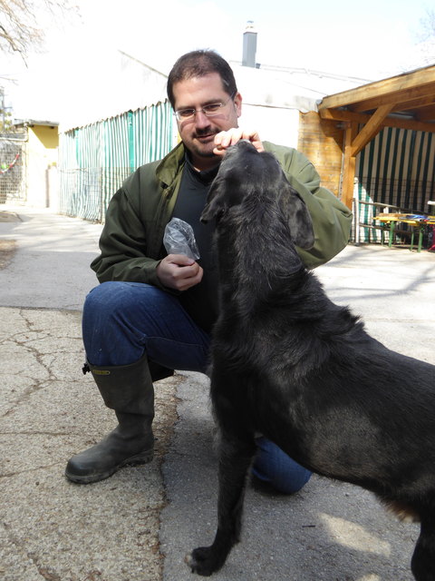 Leckerlie für Napoleon.