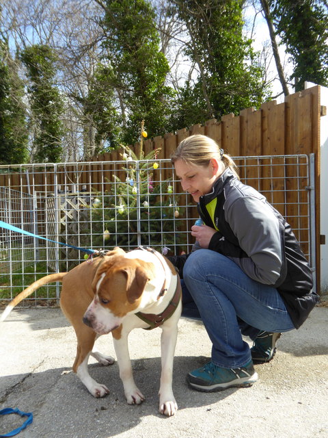 Gustav will Leckerlie.