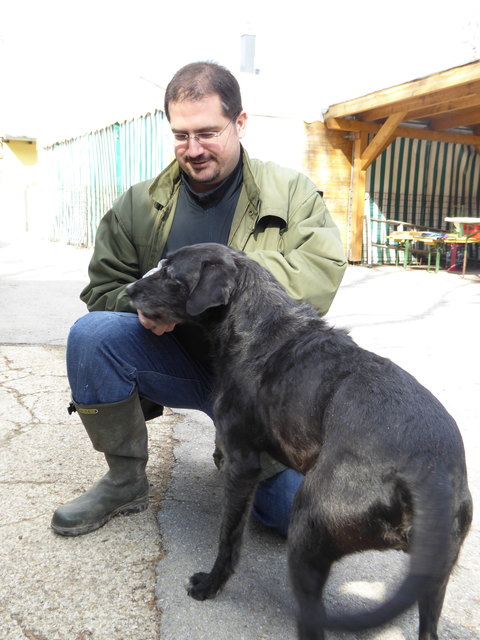 Leckerlie für Napoleon.