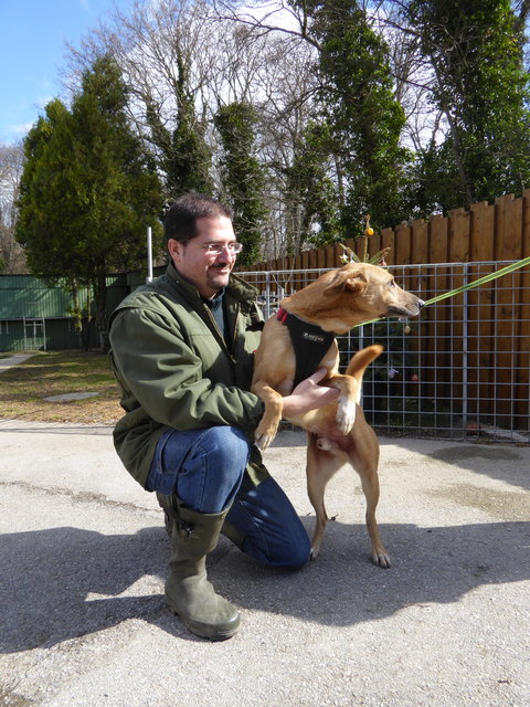 Hansi ist zu Späßchen aufgelegt.