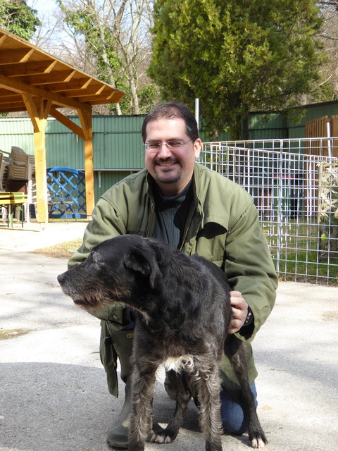 Napoleon freut sich.