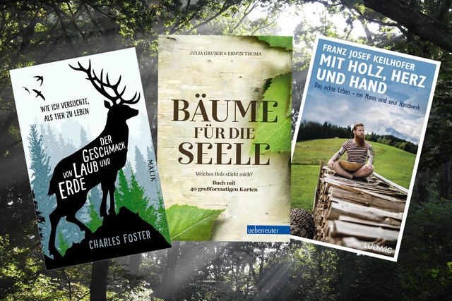Büchertipps für jene, die sich den Wald bequem auf die Lesecouch holen wollen | Foto: Fotomontage: BB