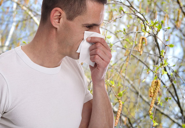 Birkenpollen können Heuschnupfen auslösen. | Foto: glisic_albina/ Fotolia.com