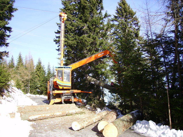 Holz ist ein wichtiger Wirtschaftsfaktor. Der Rohstoff wird teilweise in der Region verarbeitet. Die Wertschöpfung bleibt vor Ort | Foto: Flaschberger