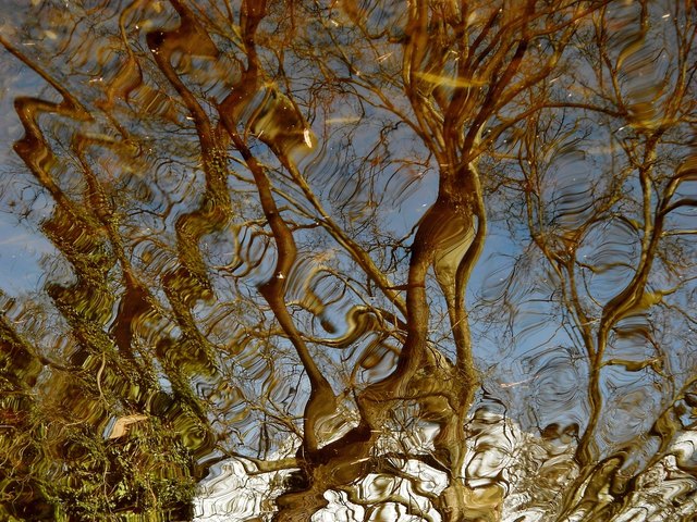 „Ich bin der einzige Künstler, den die Natur kopiert.“ Salvador Dalí