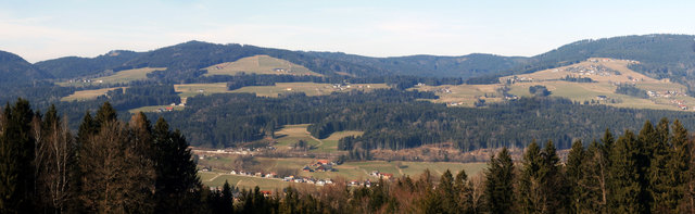 Thalgauberg in der Frühlingssonne