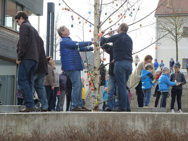 Auch der Bürgermeister legt beim Ostereierbaum Hand an. | Foto: Alfred Voithofer