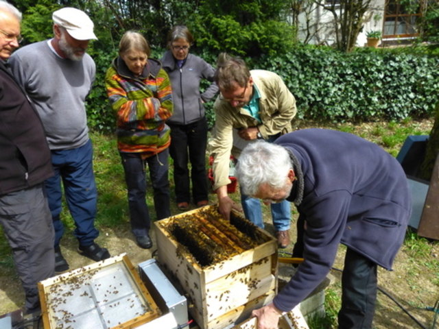 Bienensauna | Foto: Privat
