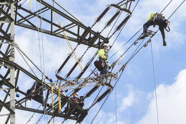 Ein Job wie jeder andere? Lukas Martin (li.) und Rainer Sengseis führen Wartungsarbeiten auf einem Strommasten in der Lobau durch. | Foto: ServusTV / Florian Wieser