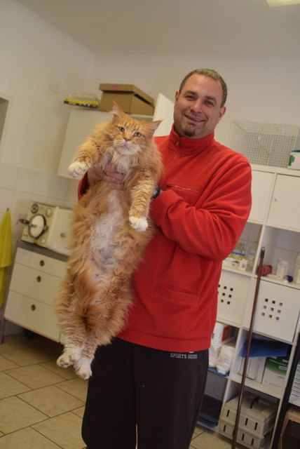 Garfield und sein Herrchen Rembert aus St. Bernhard.
