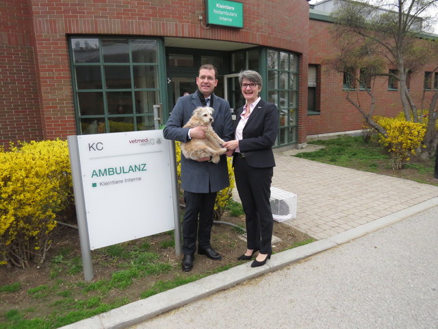 Ab Ende 2020 wollen Hans-Peter Weiss (BIG) und Petra Winter (Vetmeduni) die neue Kleintierklinik umgebaut haben.