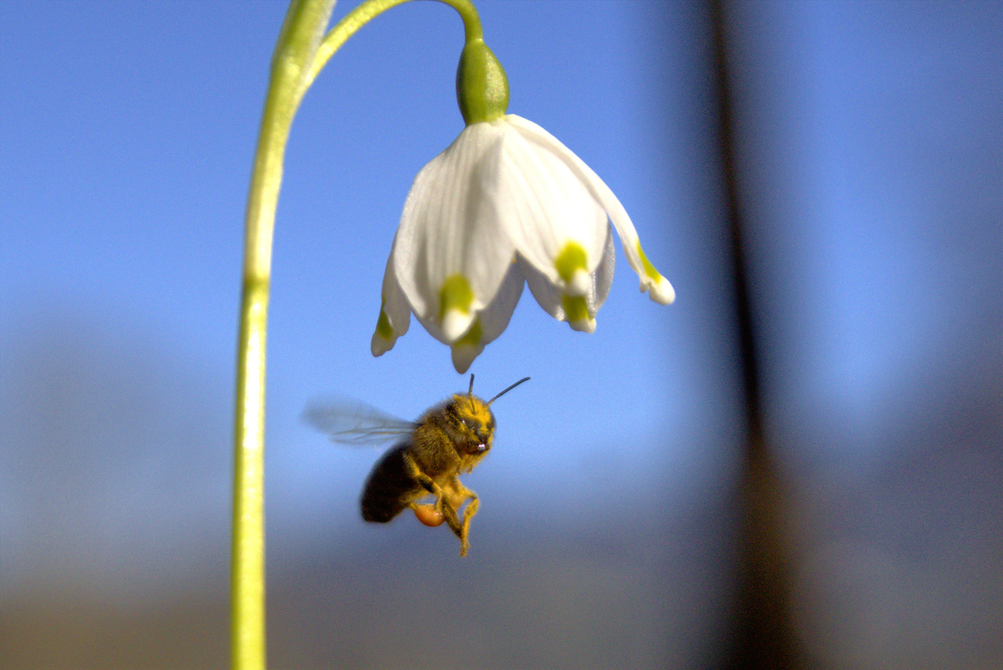 Bilder des Monats aus der Steiermark März Steiermark
