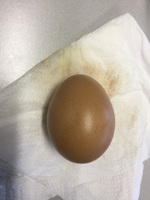Eier färben mit Kaffee & Kakao - das Ergebnis.