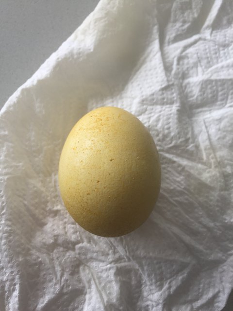 Eier färben mit Kurkuma-Pulver - das Ergebnis
