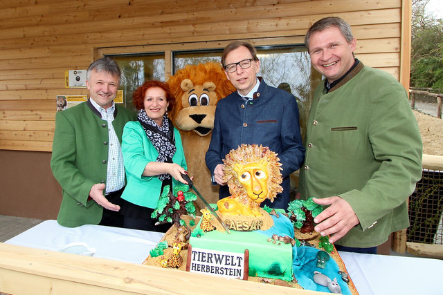 Mit einer symbolischen Löwen-Torte aus der Landesberufsschule für Konditoren in Gleinstätten wurde „Caesar“ in der Tierwelt Herberstein willkommen geheißen.