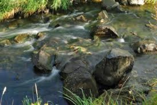 Das Wasser ist der Ursprung von allem. (Thales von Milet )