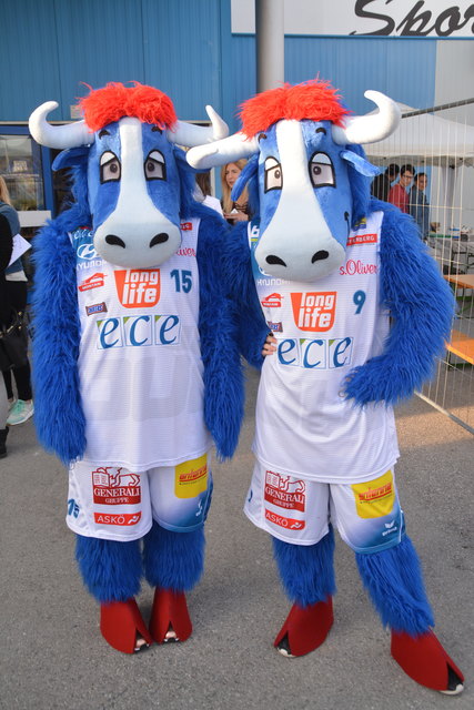 Die Bulls hatten ihre Anfeuerer mitgebracht.