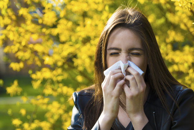 Weibliche Geschlechtshormone machen Frauen anfälliger für Allergien und Asthma. | Foto: Geza Farkas - Fotolia.com