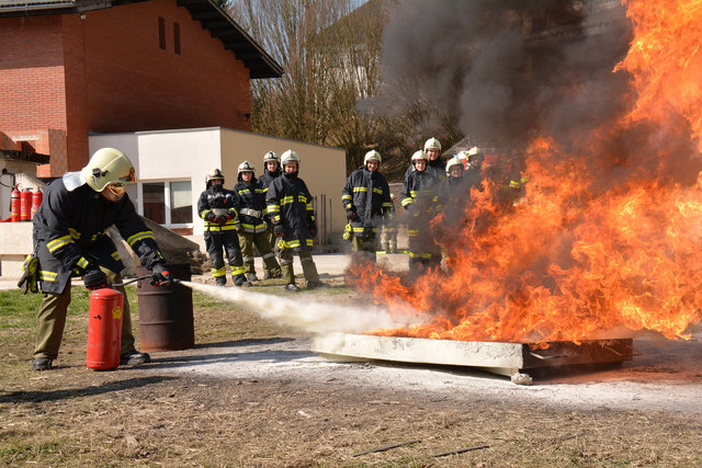 Foto: Herbert Denkmayr