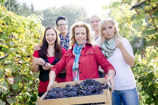 Die "Marmeladingers" von Burgauberg haben bei der Obsternte Spaß und verbringen produktive Zeit miteinander. | Foto: www.BIGSHOT.at/Marija-M. Kanižaj