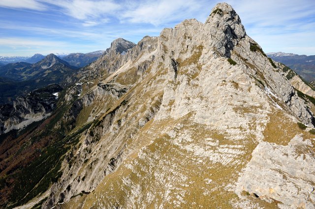 Mit einem Schutzgebietskorridor vom Nationalpark Kalkalpen über die Haller Mauern zum Nationalpark Gesäuse kann einem Verschwinden von Arten vorgebeugt werden. | Foto: NPK/Sieghartsleitner