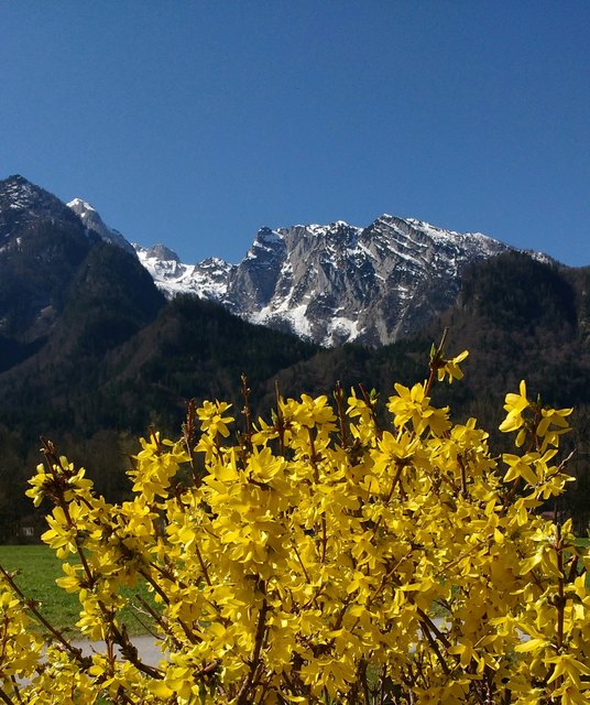"   DIE SEELE ERNÄHRT SICH VON DEM , WORÜBER SIE SICH FREUT .  "      von A. Augustinus