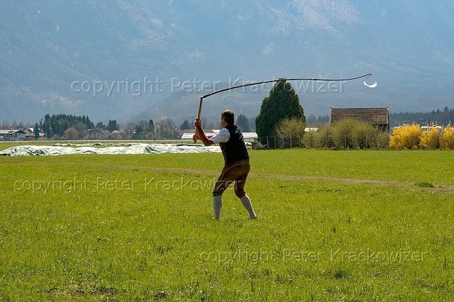 Aperschnalzer versus Flugzeuglärm - im Hintergrund die Start- und Landebahn des Salzburger Flughafens | Foto: Peter Krackowizer