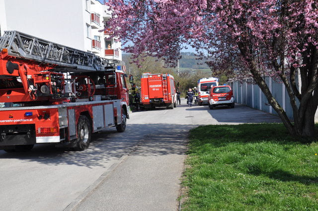 Die Feuerwehr Pöchlarn wurde in die Schulstraße nach Golling alarmiert