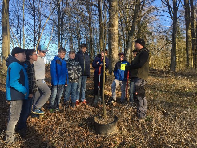 Von der neuen Mittelschule in die Baumschule hieß es für eine Schulklasse. | Foto: Elisabeth Kottbauer