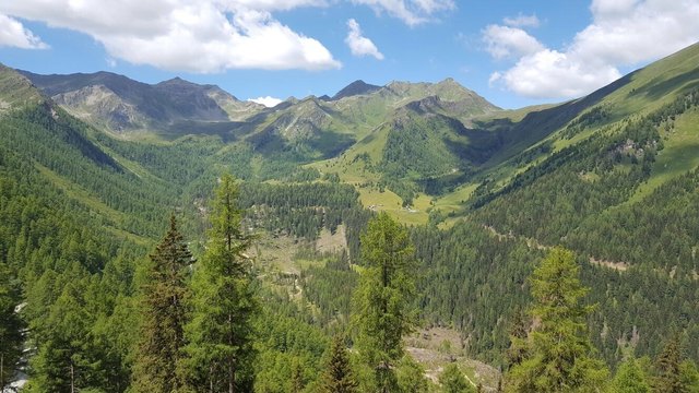 Der Themenwanderweg in der Großfragant soll belebt werden | Foto: KK