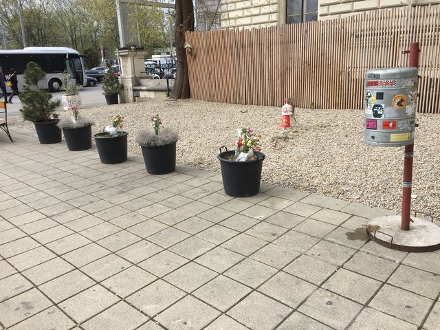 Trauriger Anblick: Da Charles und Camilla keine Hände schüttelten, sondern aus sicherer Entfernung den Schaulustigen gewunken hat, werden die Blumensträuße für Camilla von den enttäuschten Wienern vor Ort entsorgt.