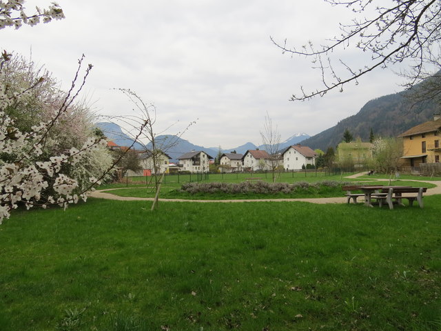 Die Grünen kritisieren den derzeitigen Verbauungsplan, laut dem Spielplätze für 84 Wohneinheiten am bisherigen "Stadtpark" untergebracht werden.