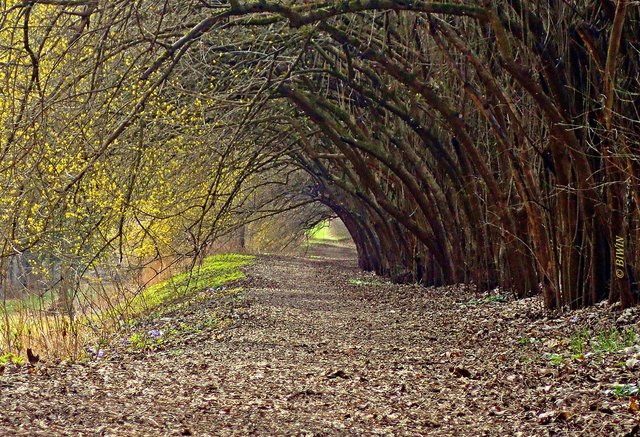 Dirndlallee ... oder Licht am Ende des Tunnels