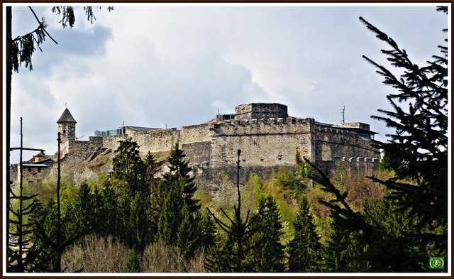 Neu ab 2017!!! !!! Eintrittspreise Flugschau/Zoo
Kostenlos für Kärnten-Card Inhaber!!            Neue Ausflugsziele 2017 :
www.adlerflugschau.com
    Adlerarena Burg Landskron, 
    Kletterpark Greifenburg, 
    Planetarium Klagenfurt, 
    Skulpturenpark + Ausstellung Schloß Albeck, 
    TAF Timer Automuseum Villach