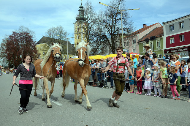 Foto: Josef Pointinger