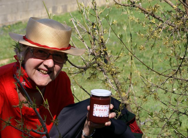 Dirndl beim Dirndlstrauch mit Dirndlmarmelade!