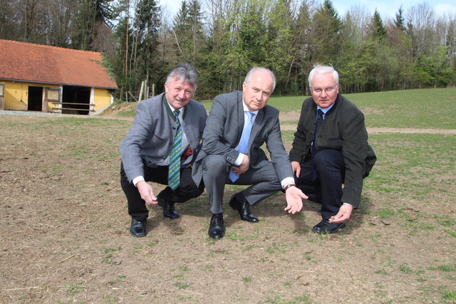 Machten sich ein Bild von der Situation: LAbg. Hubert Lang, LR Johann Seitinger und Kammerobmann Johann Reisinger (v.l.). | Foto: KK
